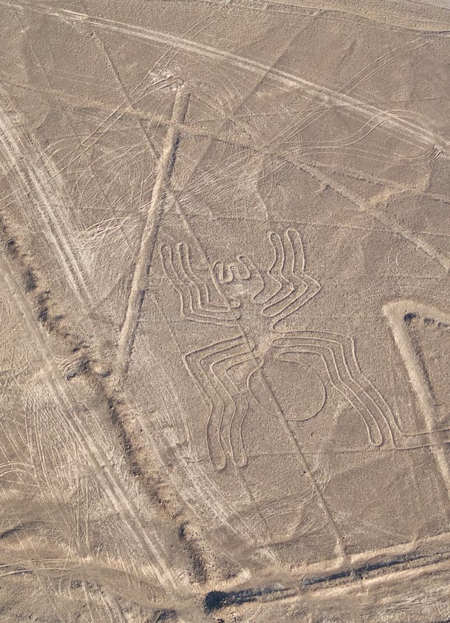  Phone numbers of Skank  in Nazca, Ica